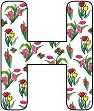 Tulpen-Buchstabe-H.jpg